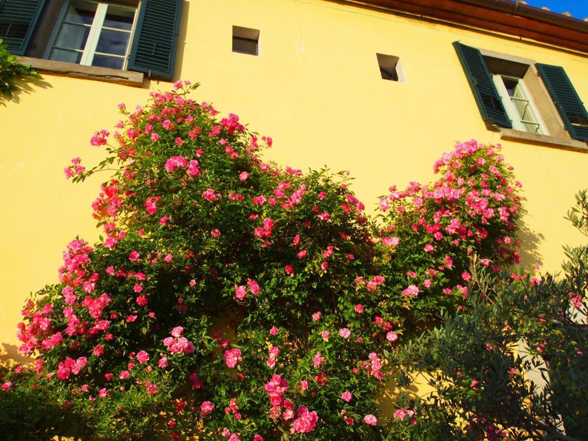 Il Sole Del Sodo Pension Cortona Buitenkant foto